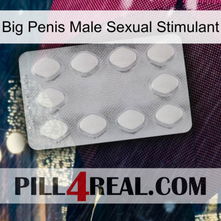 Big Penis Male Sexual Stimulant 16